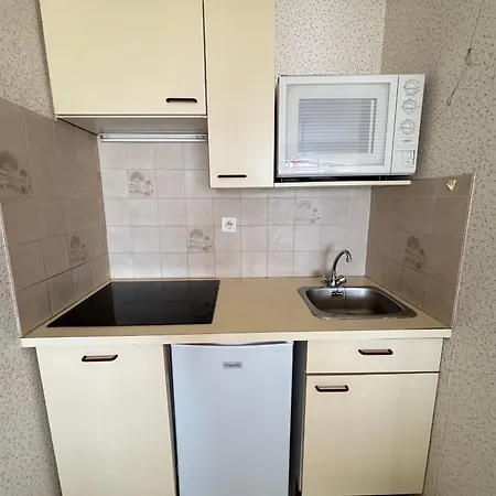 Apartmán T2 Avec Balcon Et Vue Mer, 1er Etage, Ascenseur, Tv, Cuisine Equipee - Fr-1-197-466 *