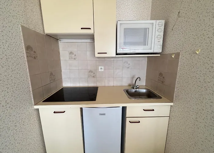 公寓 T2 Avec Balcon Et Vue Mer, 1er Etage, Ascenseur, Tv, Cuisine Equipee - Fr-1-197-466 *